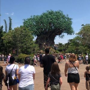 Meet your Posher, Abbygail